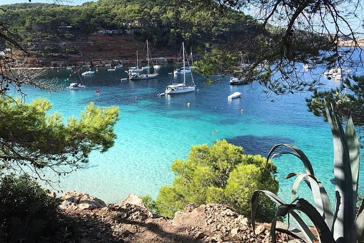 Excursion à Cala Salada et à la Plage Nord Préservée — photo 5