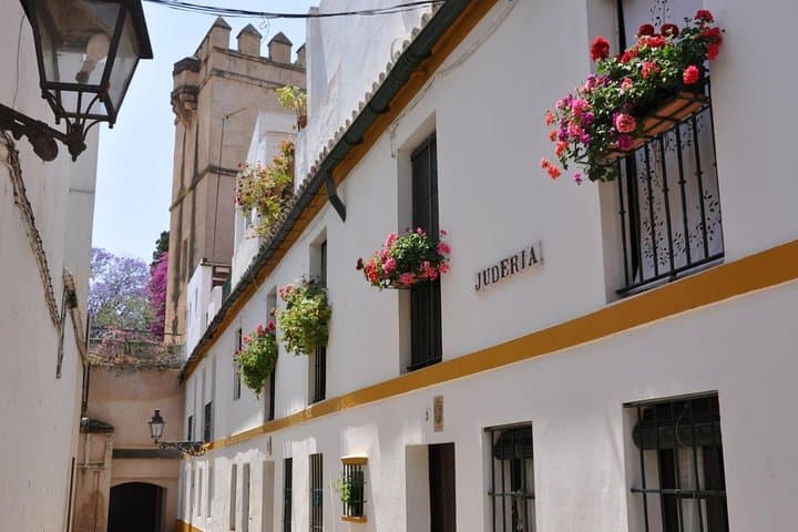 Recorrido a pie por el antiguo barrio judío de Santa Cruz — foto 3