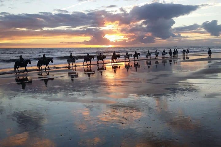 Balade à cheval dans le parc national de Doñana et visite d'El Rocio — photo 2
