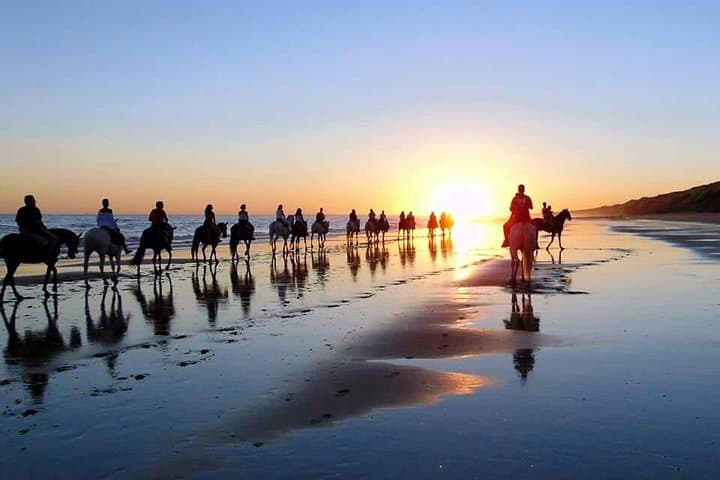 Balade à cheval dans le parc national de Doñana et visite d'El Rocio — photo 3