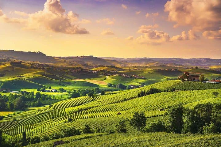 Langhe Wein- und Gourmettour ab Turin: Barolo und mehr — Foto 4