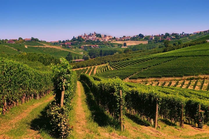 Langhe Wein- und Gourmettour ab Turin: Barolo und mehr — Foto 5