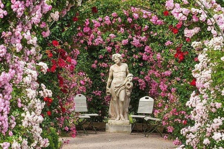 Excursion d'une journée en Allemagne avec Baden-Baden et la Forêt-Noire depuis Strasbourg — photo 4