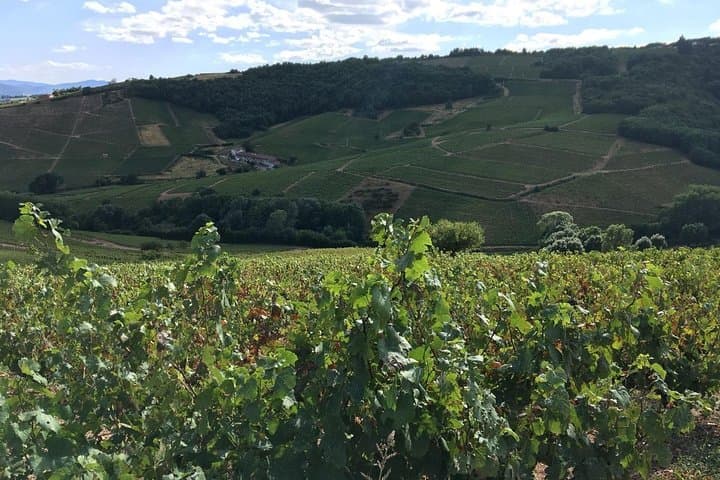 Beaujolais Crus Wein Tour von Lyon – Ganztägig