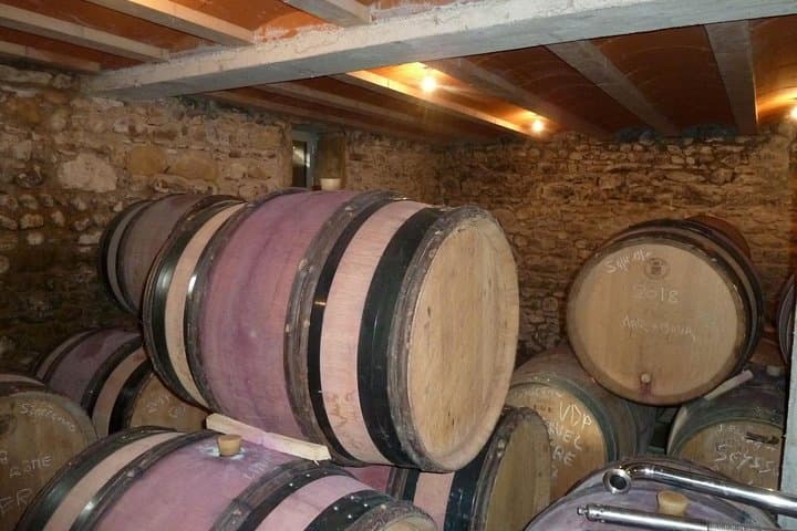 Weintour im nördlichen Rhône-Tal von Lyon Halbtags