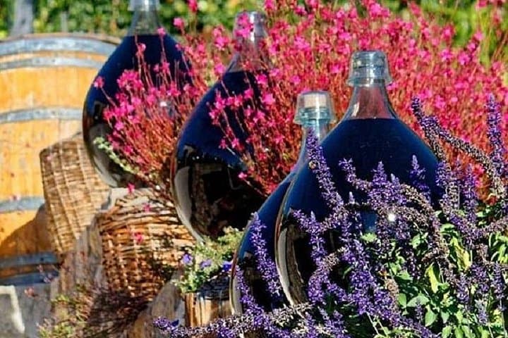 Halbtägige Weinverkostung und Saint Paul de Vence Tour ab Nizza