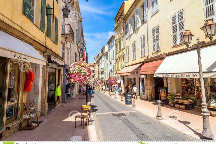 Excursión de medio día en grupo reducido a Antibes y Cannes desde Niza