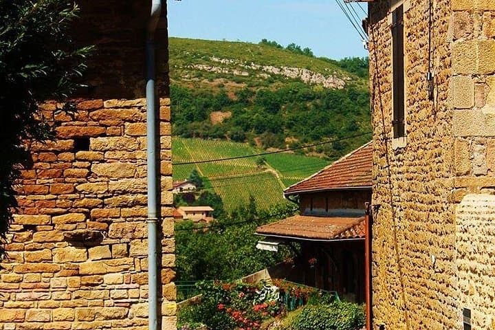 Beaujolais-Weintour von Lyon Halbtags