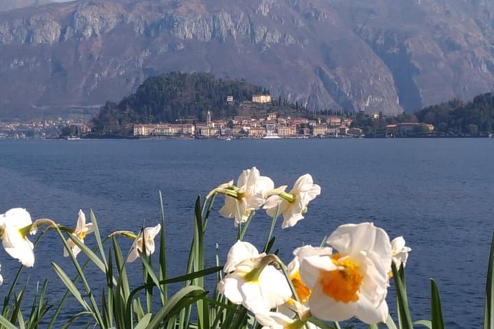 Excursion d'une journée au départ de Milan : Lac de Côme & Croisière à Bellagio - Semi-privée — photo 3