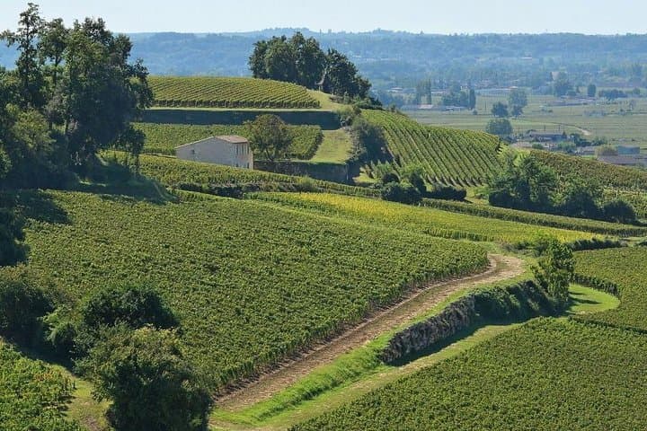 Mezza giornata a Saint-Emilion, degustazione di vini e tour — foto 2