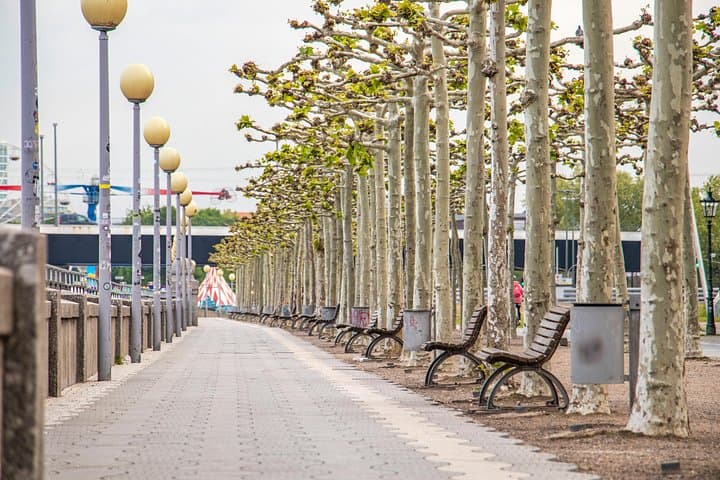 Tour de Puntos Fotogénicos en Dusseldorf — foto 4