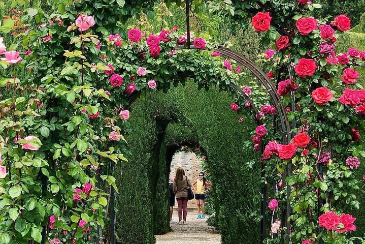Tour Privado de la Alhambra desde Málaga — foto 4
