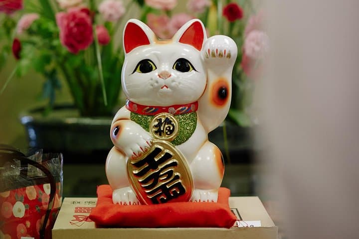 Sushi, sake y estilo de vida japonés en Düsseldorf — foto 3
