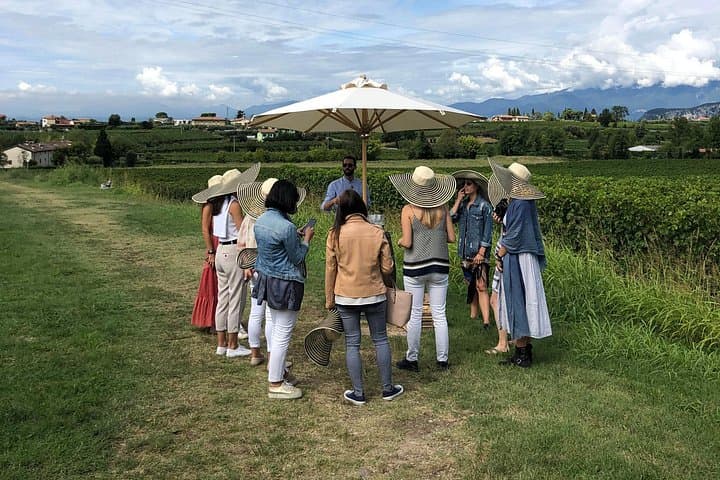 Gardasee: Weinverkostung und Tour im Gebiet Bardolino — Foto 3