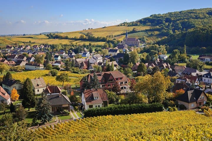 Visite guidée en petit groupe des villages locaux d'Alsace au départ de Strasbourg — photo 3