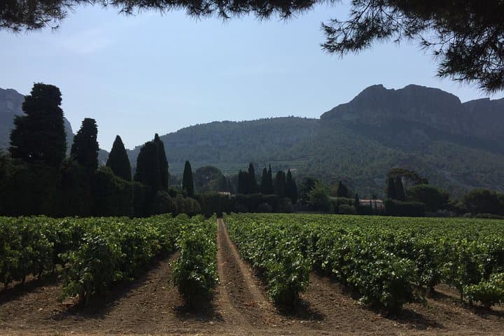 Patrimonio, vini e gastronomia - tour di 3 giorni — foto 3