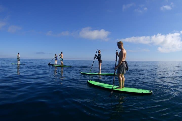 Visites de SUP à Zumaia