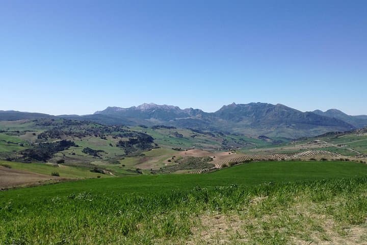Gita ai Villaggi Bianchi e Ronda da Siviglia — foto 5
