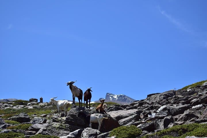 Tour della Sierra Nevada (Granada)