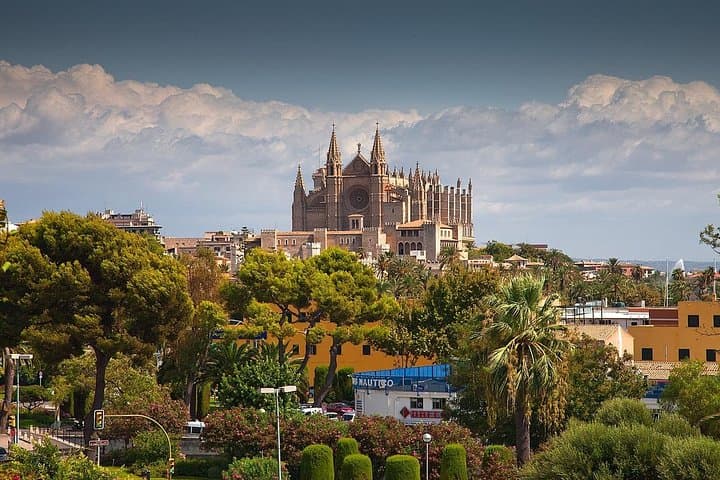 Tour privato di 4 ore a Palma di Maiorca con autista e guida — foto 5