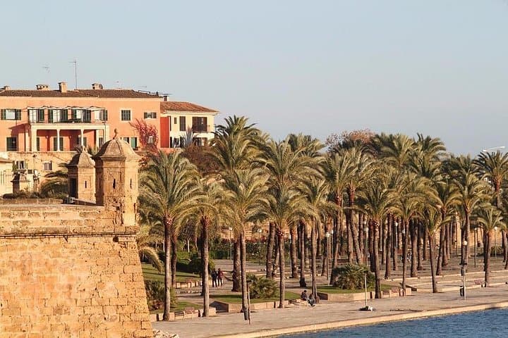 Tour privato di 4 ore a Palma di Maiorca con autista e guida — foto 3