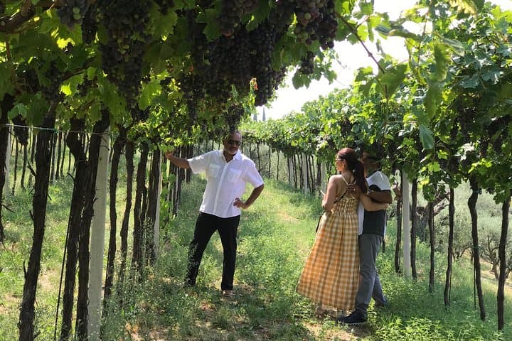 Visite des Vins Prosecco et Méthode Classique de Vérone — photo 3