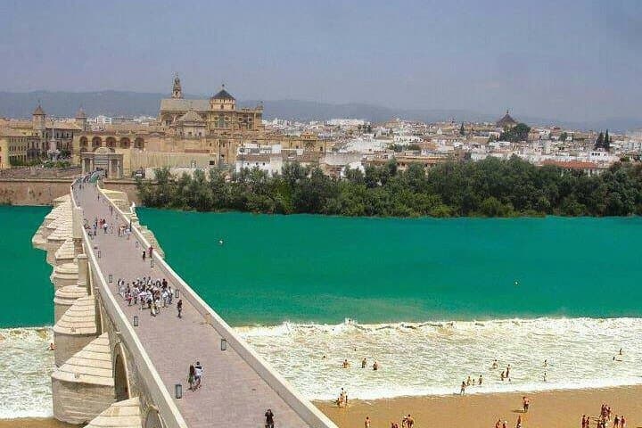 Tour privado de Córdoba desde Granada incluyendo la Mezquita