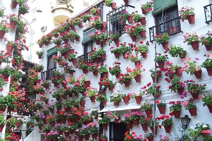 Tour privado de la ciudad de Córdoba desde Sevilla con visita a la Mezquita