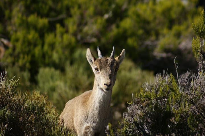 Randonnée au Gorge de El Saltillo et au Village Blanc depuis Malaga — photo 3