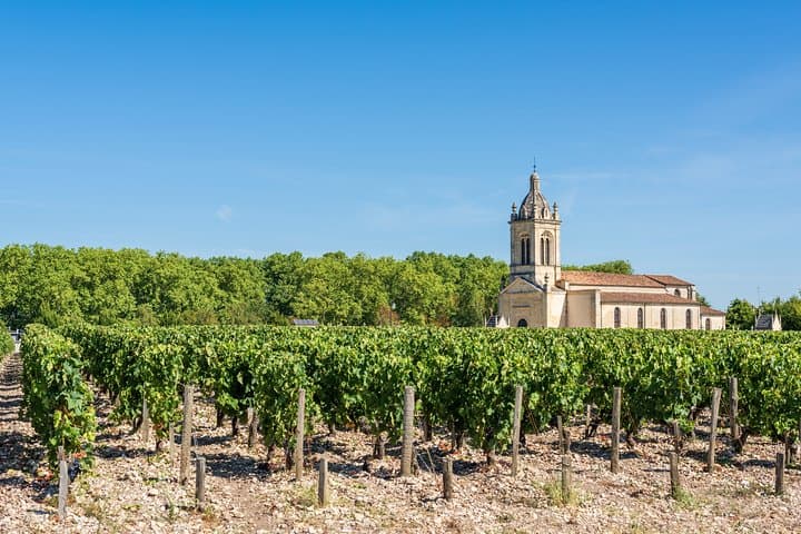 Private Médoc 4,5-Stunden-Weintour in einem Citroën 2CV ab Bordeaux — Foto 5