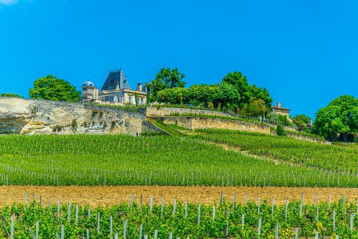 Tour en Vino di 7,5 Ore a Saint-Emilion con Pranzo in una 2CV da Bordeaux — foto 4