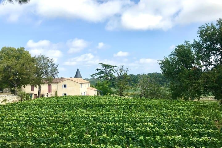 Tour en Vino di 7,5 Ore a Saint-Emilion con Pranzo in una 2CV da Bordeaux — foto 5