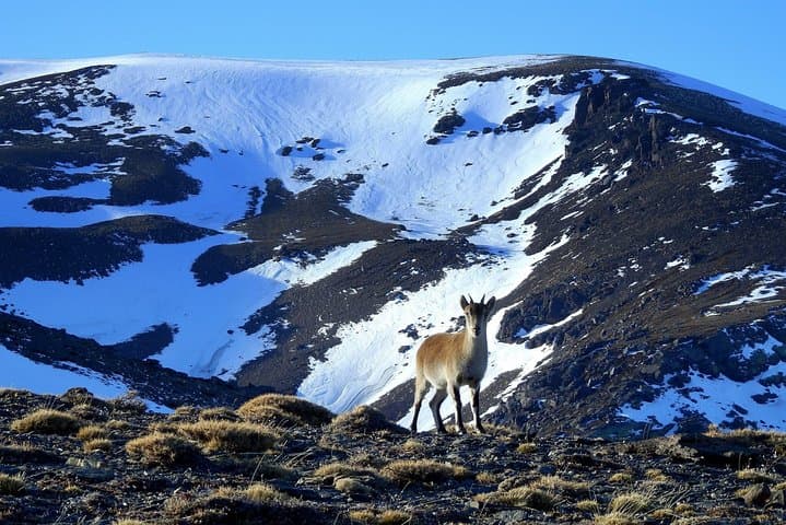 Excursión guiada en grupo reducido a la Sierra Nevada desde Granada — foto 2
