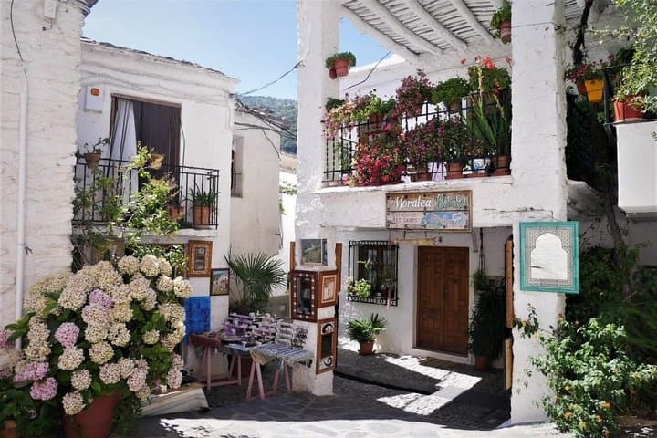 Las aldeas inalteradas de Alpujarra: Excursión guiada en grupo reducido — foto 4