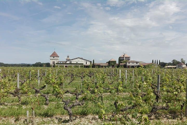 Private Premium Wein Tour in Bordeaux von San Sebastian — Foto 3