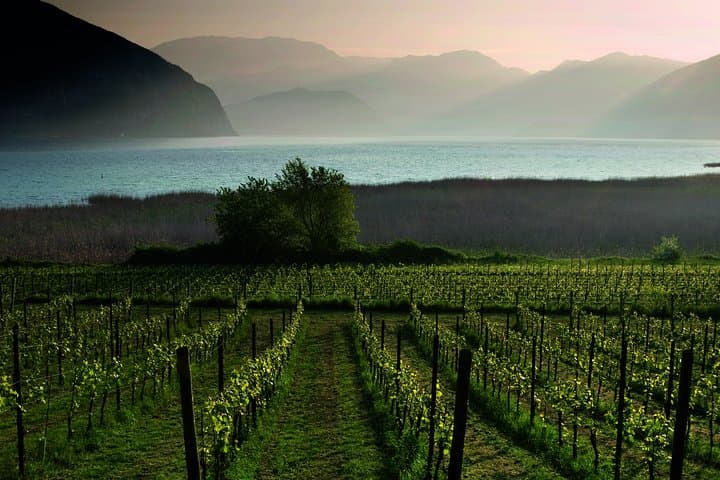 Bergamo und Franciacorta mit Mittagessen und Kellerbesuch — Foto 5