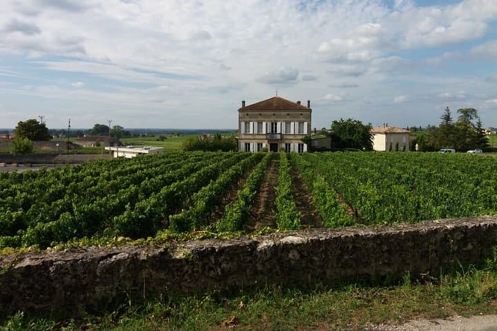 Visite Dégustation de Vin à Saint Emilion - Demi-journée depuis Bordeaux — photo 1