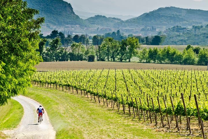 Bergamo und Franciacorta mit Mittagessen und Kellerbesuch — Foto 2