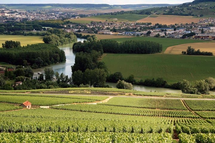 Private geführte Tour in der Champagne von Paris mit Besuch bei Moet&Chandon — Foto 3