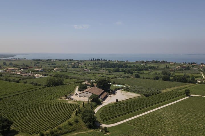 Weinprobe in der Tenuta La Cà