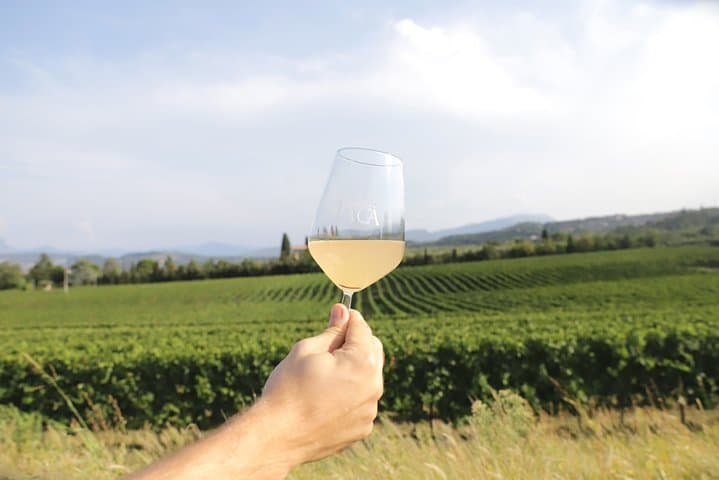 Weinprobe in der Tenuta La Cà — Foto 3