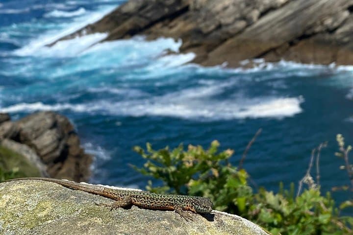 Privater Jaizkibel-Tagesausflug von San Sebastián — Foto 5