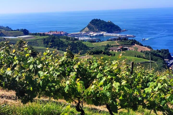 Private Txakoli-Weinbergwanderung: Zumaia & Getaria mit Mittagessen — Foto 4