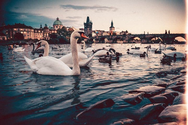 Nuremberg a Praga - Trasferimento Privato con 2 ore di Visite Guidate