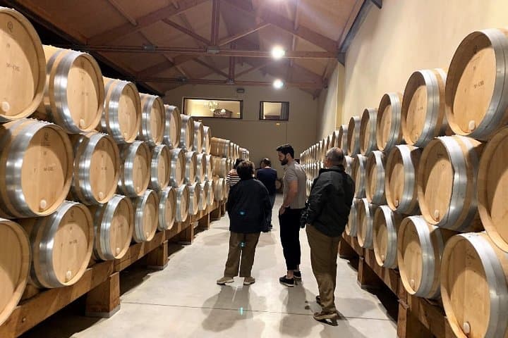 Ribera del Duero Kleingruppentour: Tapas & Weinprobe — Foto 4