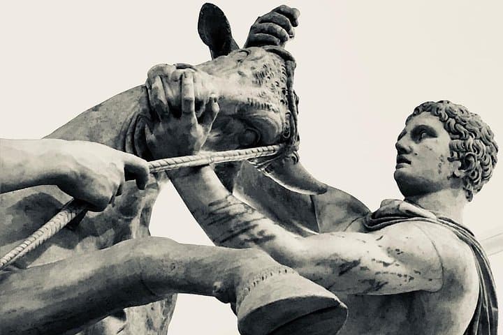 Tour Privato del Museo Archeologico di Napoli — foto 2