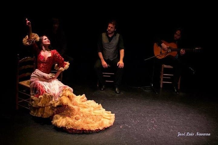 Flamenco Show Tickets to the Triana Flamenco Theater — photo 2