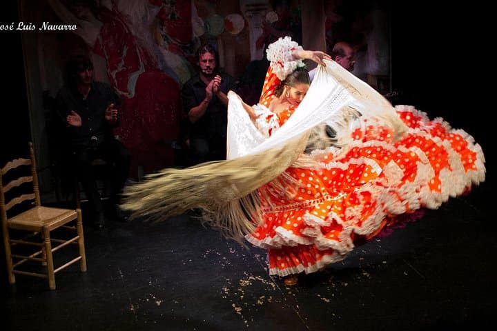 Flamenco Show Tickets to the Triana Flamenco Theater — photo 3