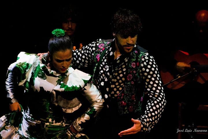 Flamenco Show Tickets to the Triana Flamenco Theater — photo 4