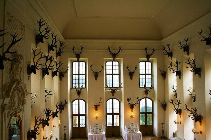Private Tagestour nach Meißen und Moritzburg — Foto 2